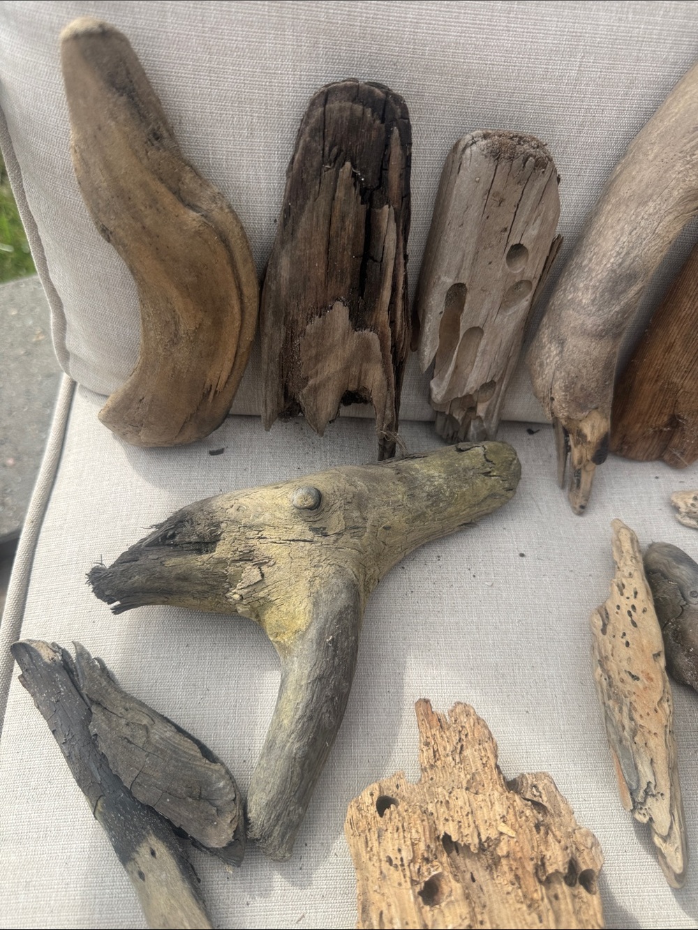 For LYNDA 19 pc (5 lb shipped) Natural Driftwood for Craft, Projects, Upcycle - Picture 12 of 16